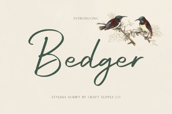 Bedger: A Sweet and Friendly Handwritten Font for Creative Projects