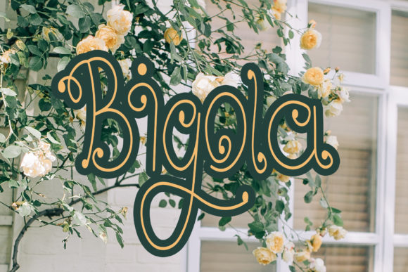 Bigola: A Whimsical Font for Branding Projects