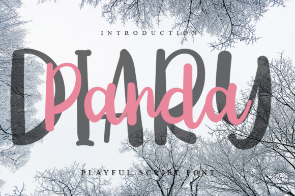Diary Panda: A Playful Handwritten Font for Editorial Design