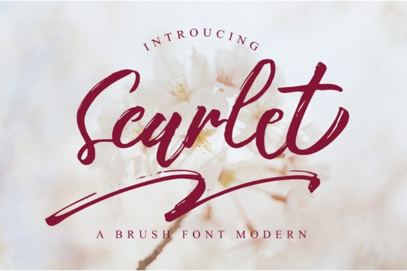 How Scarlet Font Transformed My Brand’s Visual Identity