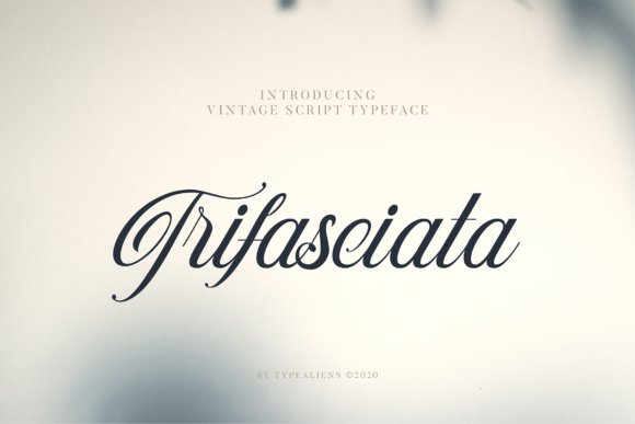 Trifasciata: A Handwritten Font for Modern Web Design